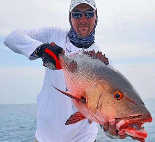 Bohar Snapper sind ausdauernde Kömpfer an der Spinnrute